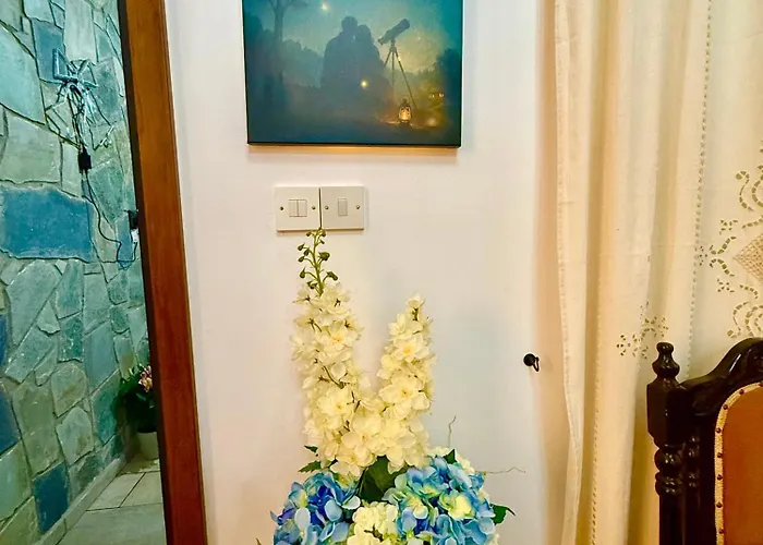 Nyaraló Gazingstars