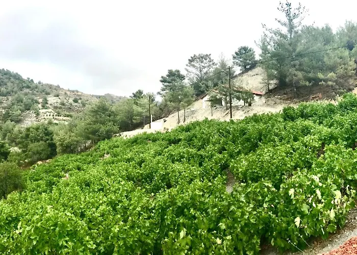 Gazingstars بيت للعطل *