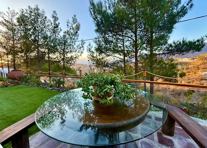 Gazingstars * Agridia